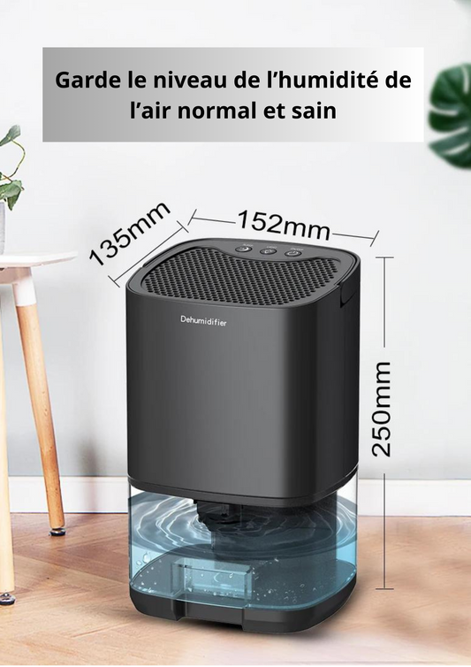 Appareil déshumidificateur de pièces et d'Assainissement d'air - Absorption d'humidité pour armoire Gallery Cadeaux