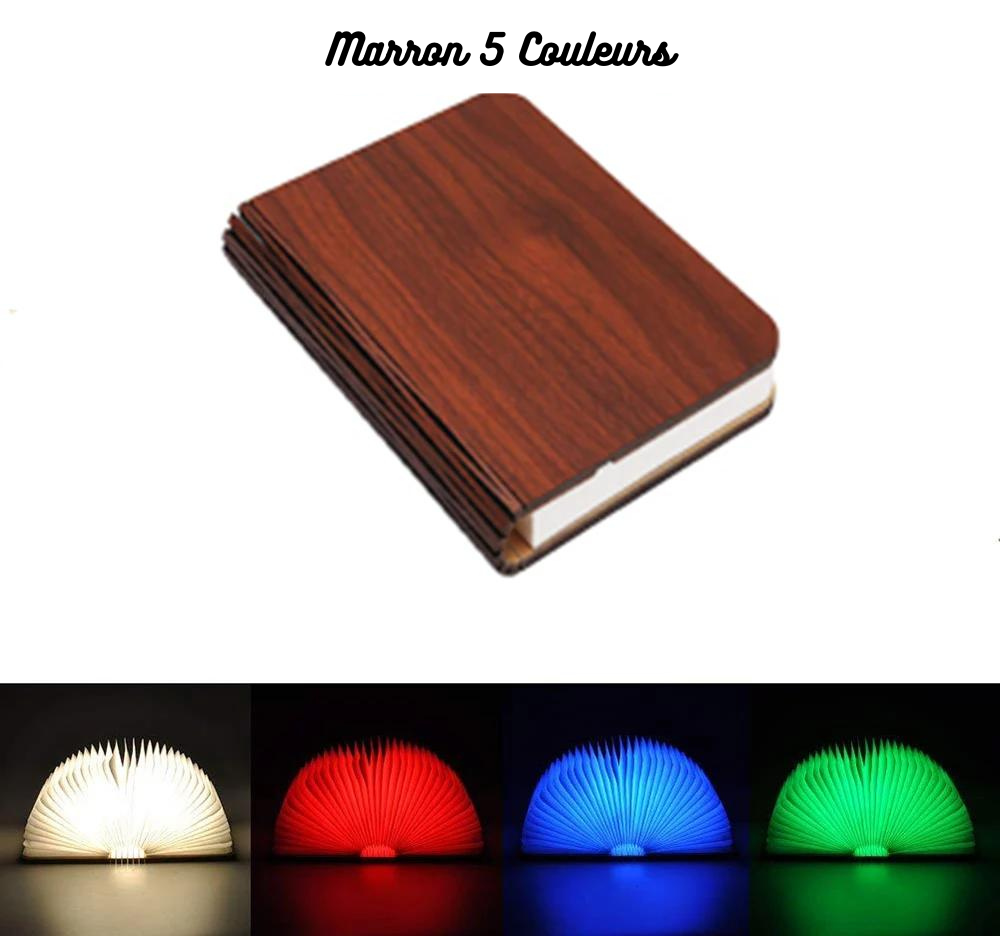 Lampe Livre LED Rechargeable - Cadeau Lampe Livre Gallery Cadeaux