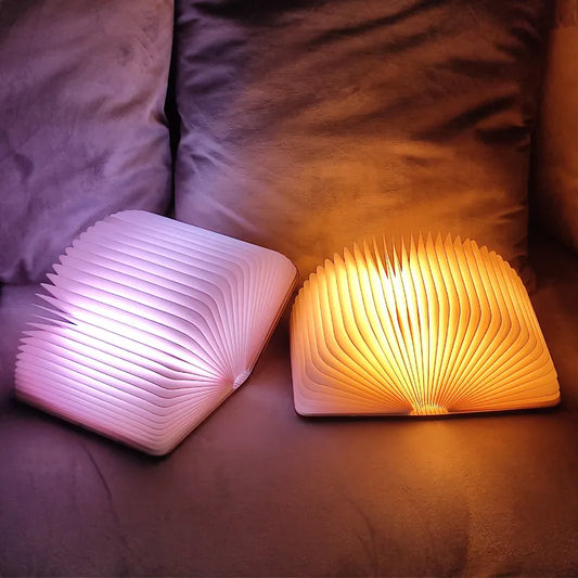 Lampe Livre LED Rechargeable - Cadeau Lampe Livre